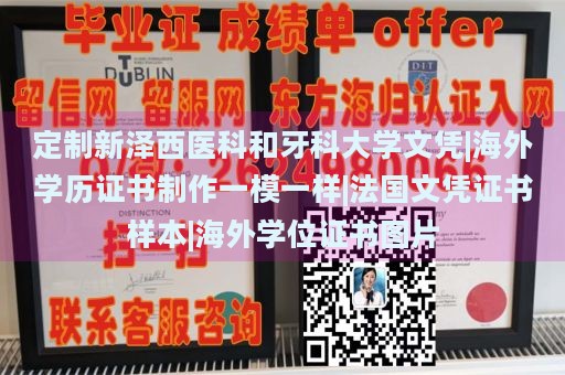 定制新泽西医科和牙科大学文凭|海外学历证书制作一模一样|法国文凭证书样本|海外学位证书图片