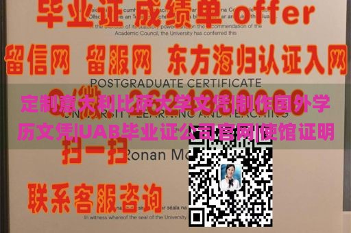 定制意大利比萨大学文凭|制作国外学历文凭|UAB毕业证公司官网|使馆证明