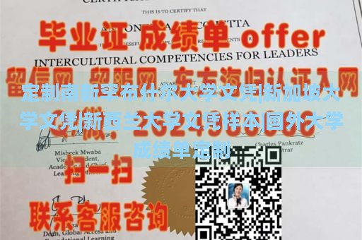 定制南新罕布什尔大学文凭|新加坡大学文凭|新西兰大学文凭样本|国外大学成绩单定制