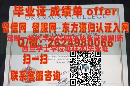 定制一桥大学文凭|国外毕业证仿制|新西兰学士学位证样本|毕业证