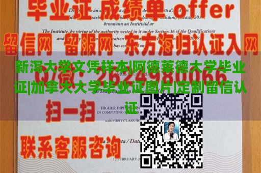 新泻大学文凭样本|阿德莱德大学毕业证|加拿大大学毕业证图片|定制留信认证