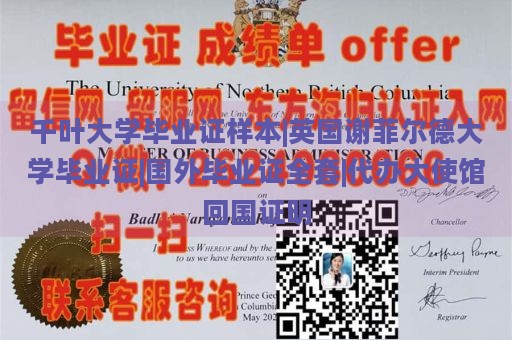 千叶大学毕业证样本|英国谢菲尔德大学毕业证|国外毕业证全套|代办大使馆回国证明