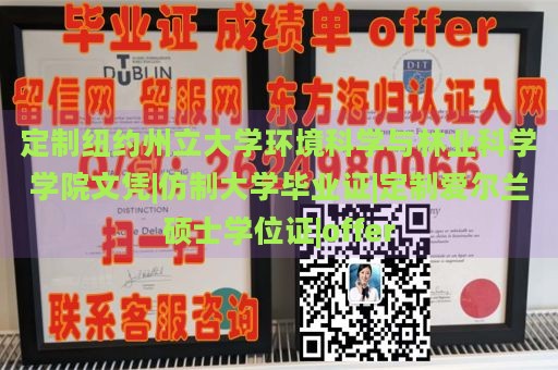 定制纽约州立大学环境科学与林业科学学院文凭|仿制大学毕业证|定制爱尔兰硕士学位证|offer