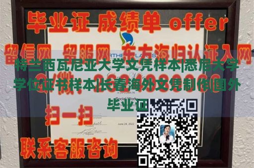 特兰西瓦尼亚大学文凭样本|悉尼大学学位证书样本|长春海外文凭制作|国外毕业证