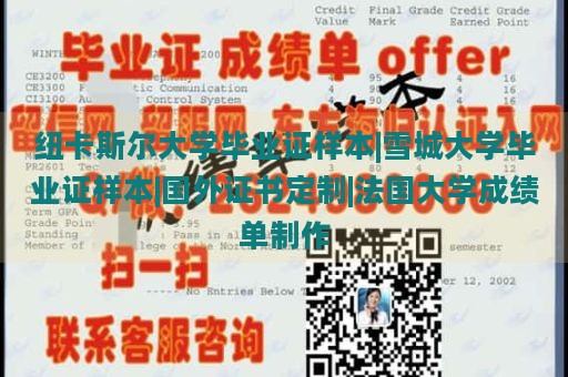 纽卡斯尔大学毕业证样本|雪城大学毕业证样本|国外证书定制|法国大学成绩单制作