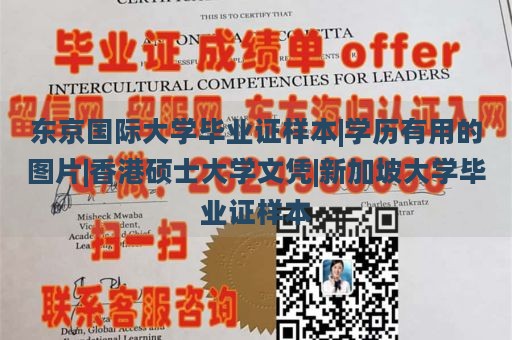 东京国际大学毕业证样本|学历有用的图片|香港硕士大学文凭|新加坡大学毕业证样本