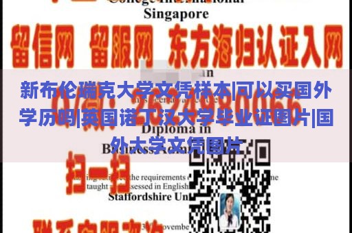 新布伦瑞克大学文凭样本|可以买国外学历吗|英国诺丁汉大学毕业证图片|国外大学文凭图片